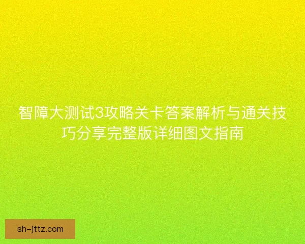 智障大测试3攻略关卡答案解析与通关技巧分享完整版详细图文指南
